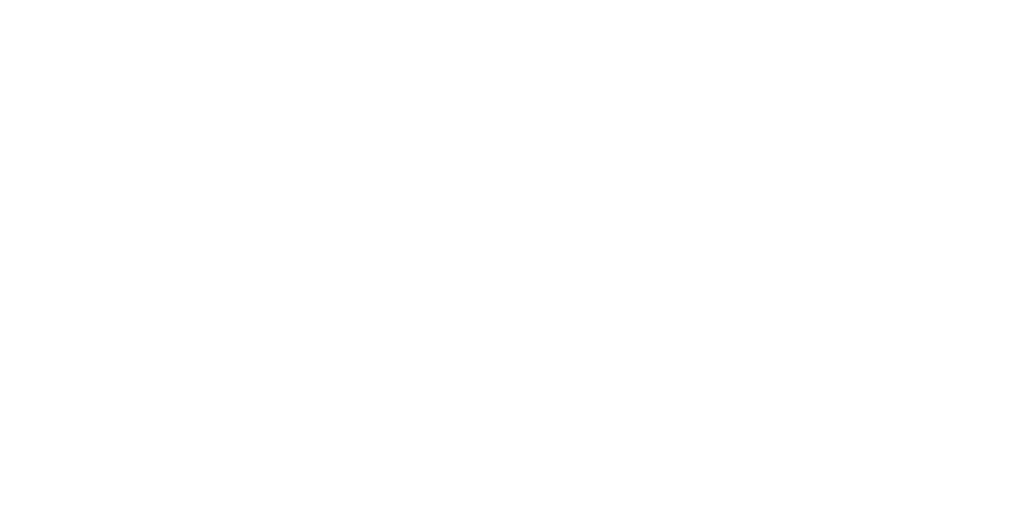 Syrena Record